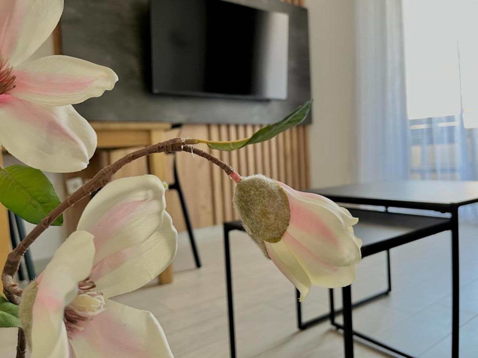Residence Ellena Zadar Oda fotoğraf